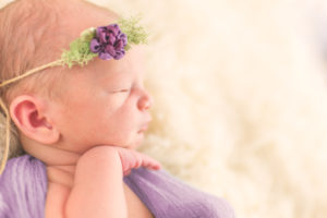 michigan newborn photographer macomb county