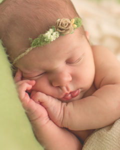 michigan newborn photographer macomb county