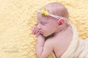 newborn michigan mount clemens maternity photographer detroit photography