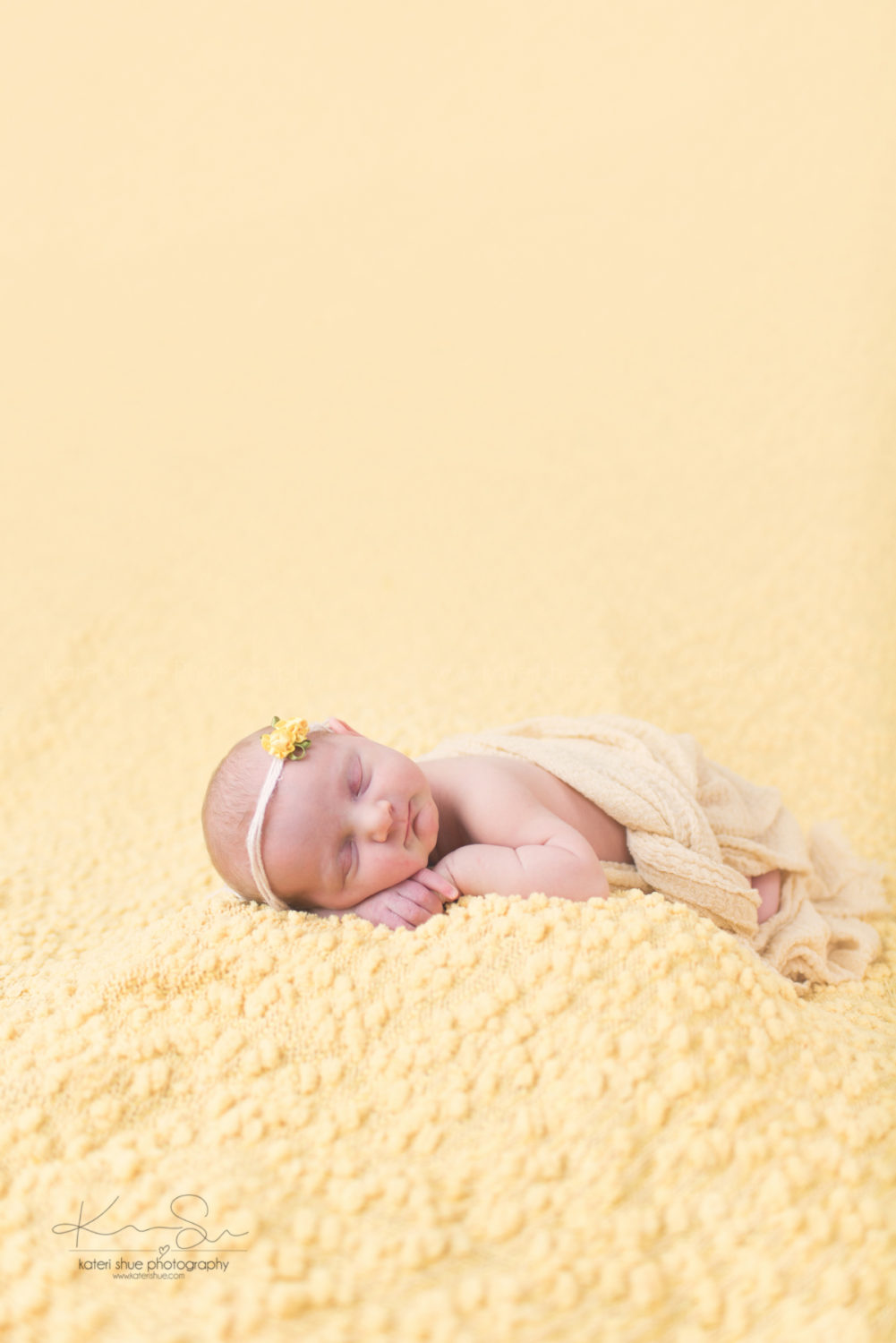 newborn michigan mount clemens maternity photographer detroit photography