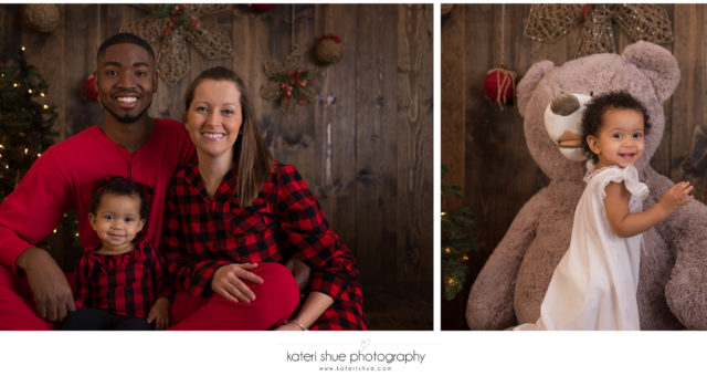 Special Edition Christmas Mini Sessions 2017 - Macomb County Photographer