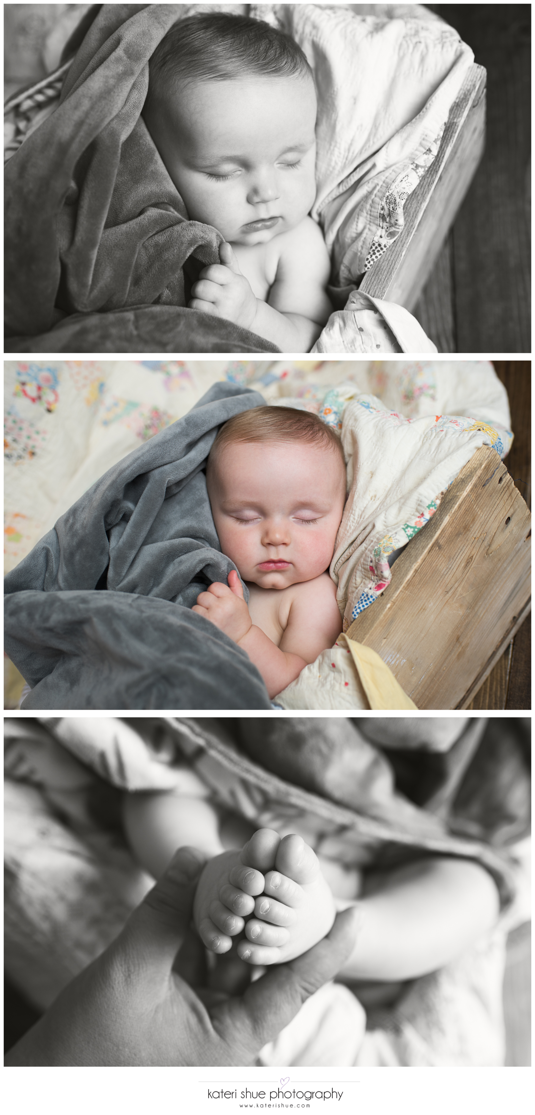 john, metro detroit, motherhood photographer, six months, milestone, unique, michigan, family